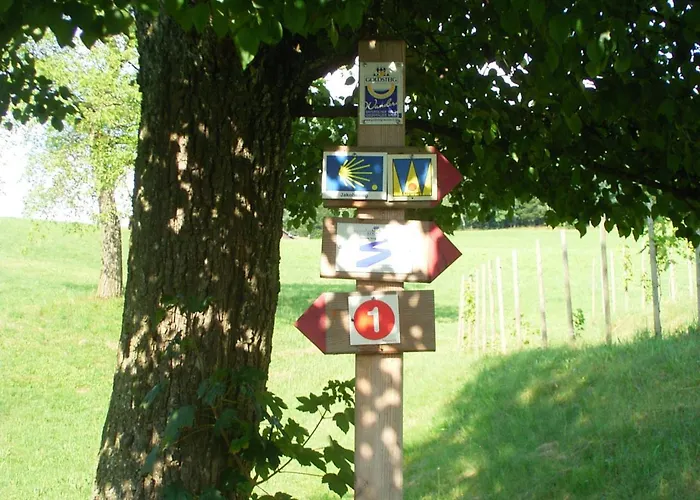 Weingarten Otel Haibach (Lower Bavaria)